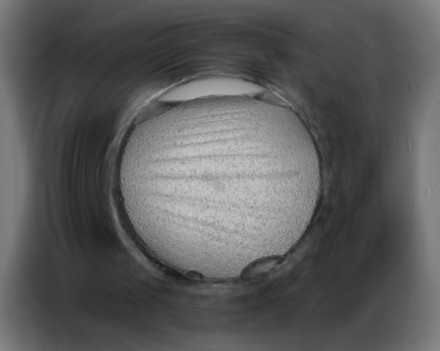 X0000086800049200705041616