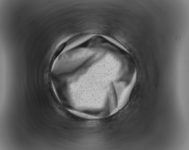 X0000086800050200705041616