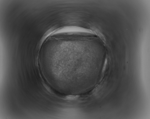 X0000086800051200705041616