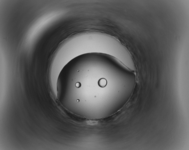 X0000086800052200705041616