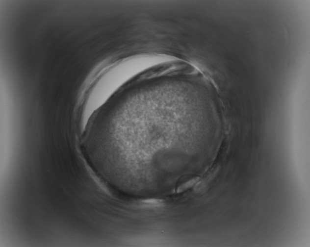 X0000086800053200705041616