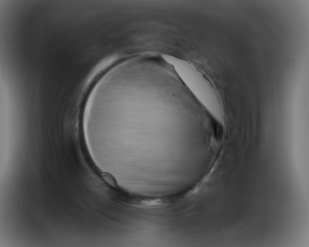 X0000086800054200705041616