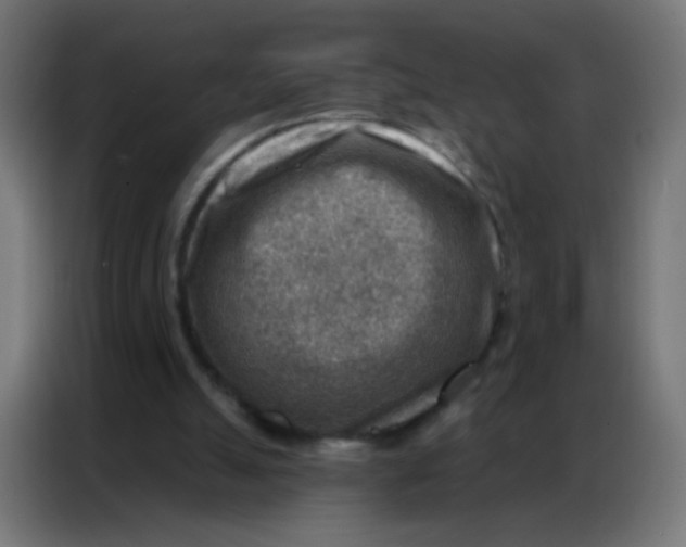 X0000086800055200705041616