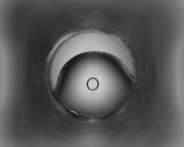 X0000086800056200705041616