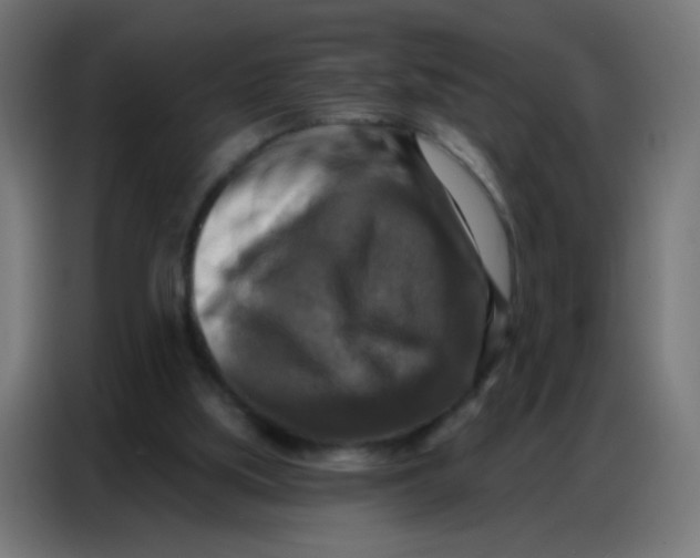 X0000086800059200705041616