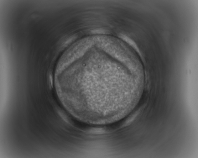 X0000086800061200705041616