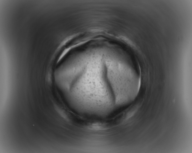 X0000086800064200705041616