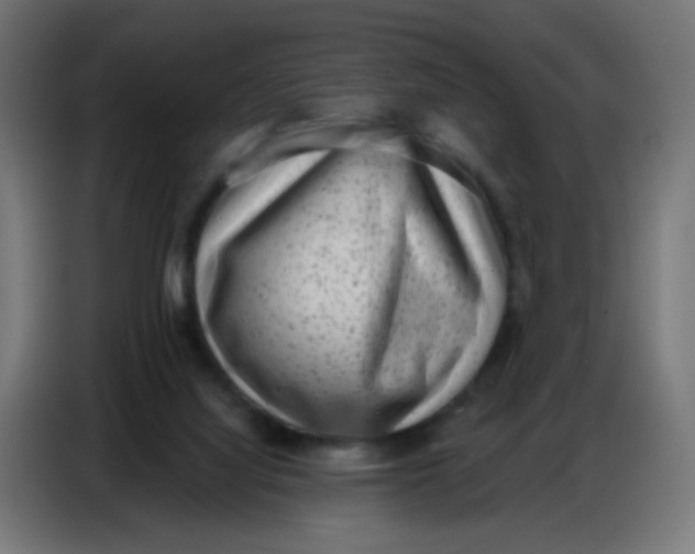 X0000086800068200705041616