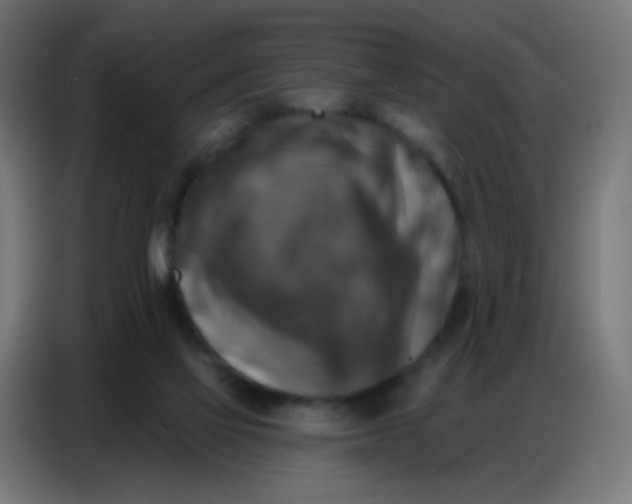 X0000086800069200705041616