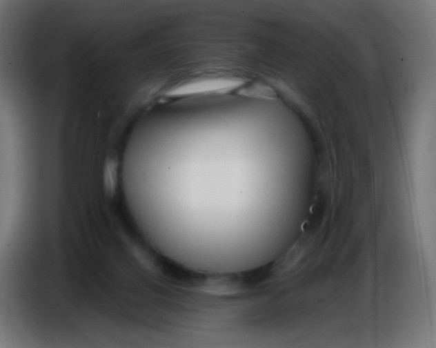 X0000086800070200705041616