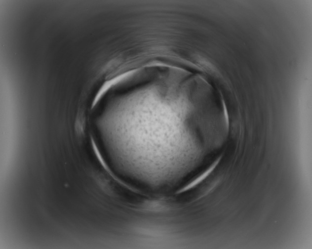 X0000086800072200705041616