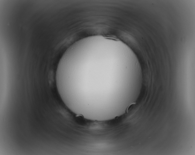 X0000086800077200705041616