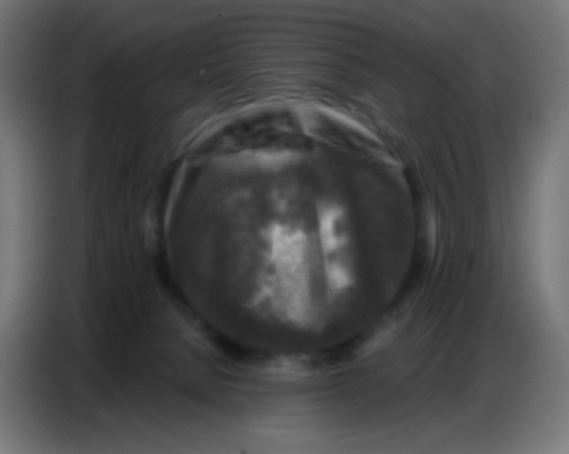 X0000086800080200705041617