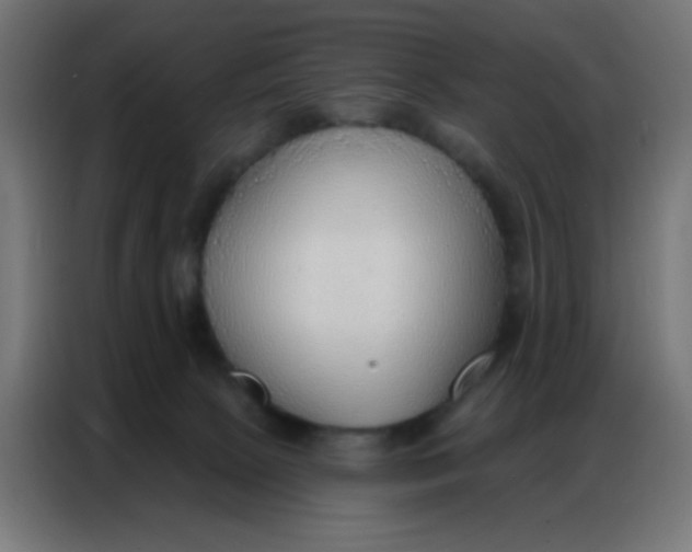 X0000086800081200705041617