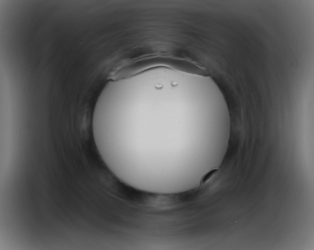 X0000086800082200705041617