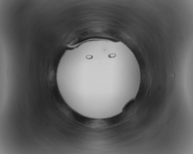 X0000086800087200705041617