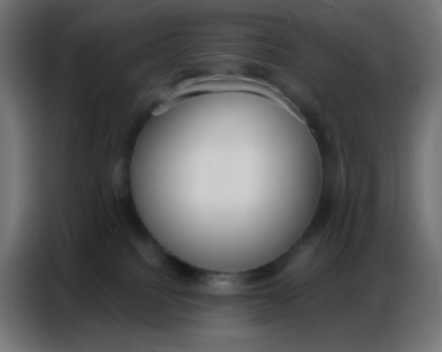 X0000086800088200705041617