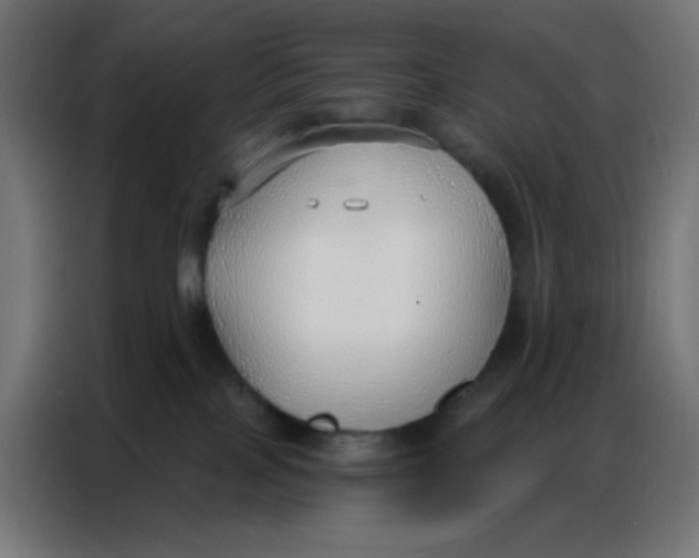 X0000086800089200705041617