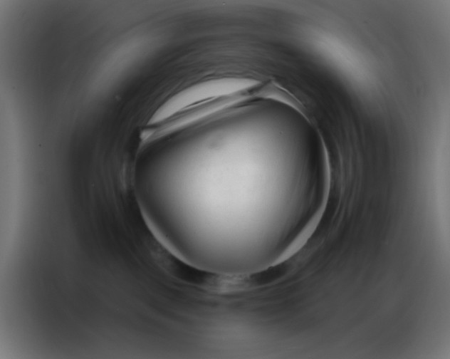 X0000086800093200705041617