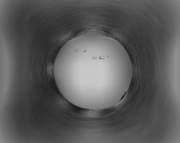 X0000086800094200705041617