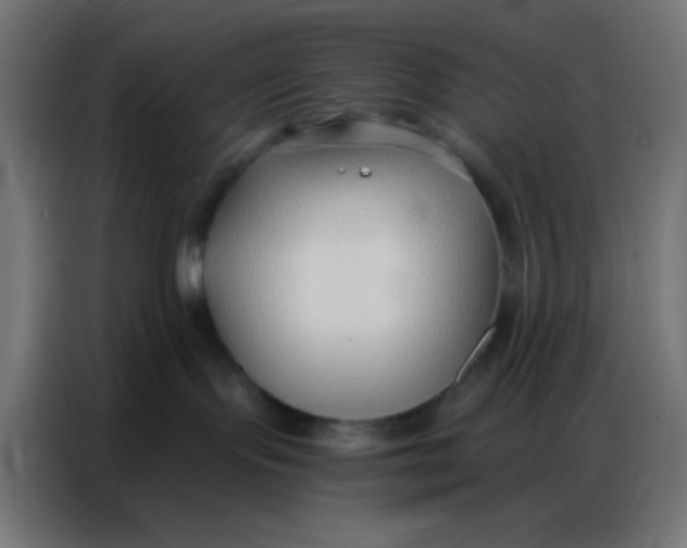 X0000086800095200705041617