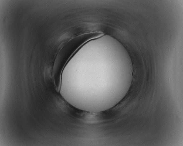 X0000086800096200705041617