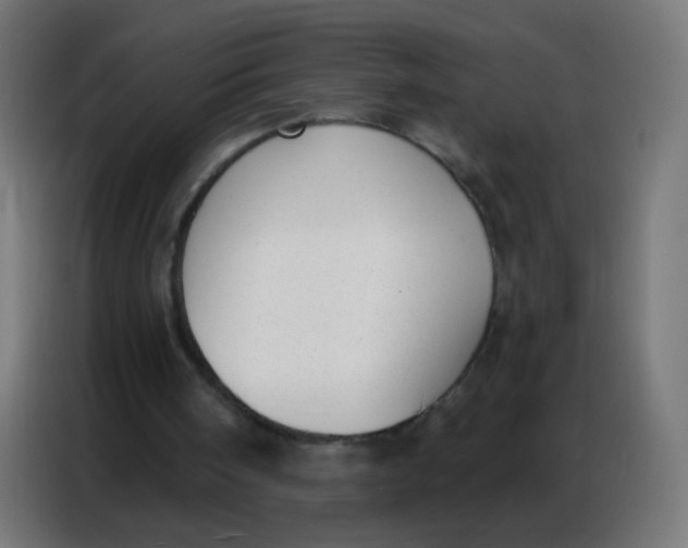 X0000086800098200705041616