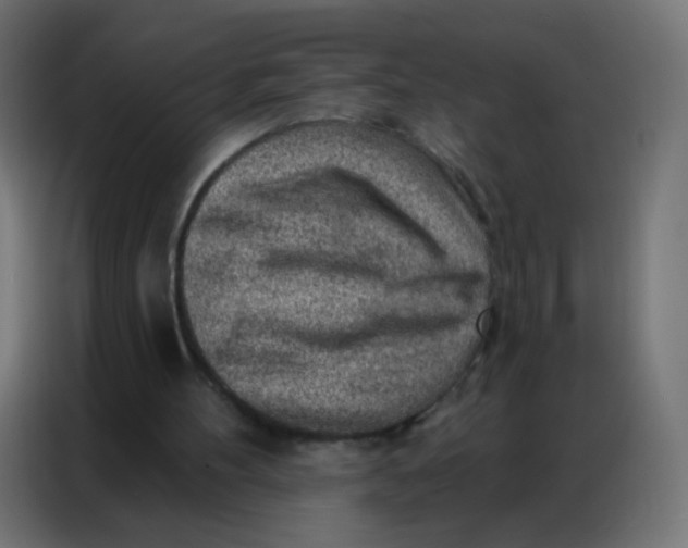 X0000086800100200705041616