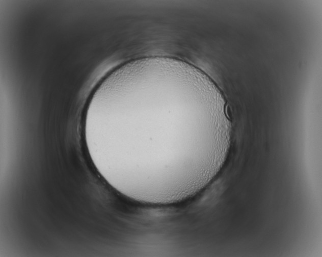 X0000086800103200705041616