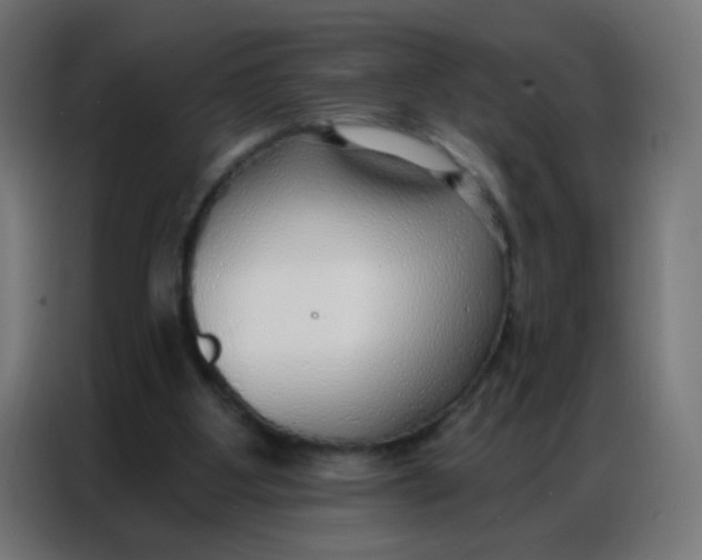 X0000086800107200705041616