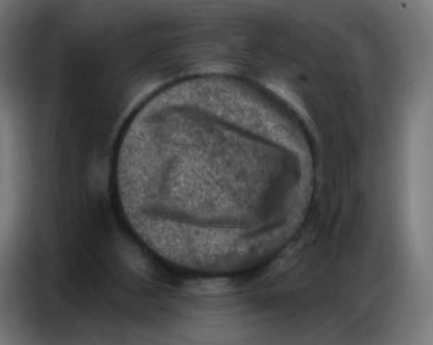 X0000086800108200705041616