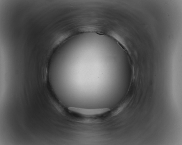 X0000086800109200705041616