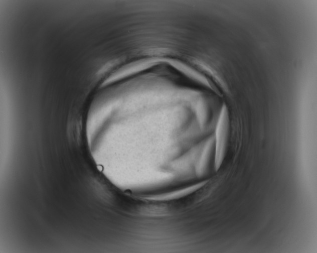 X0000086800110200705041616