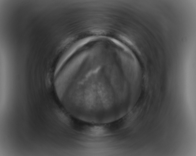 X0000086800114200705041616