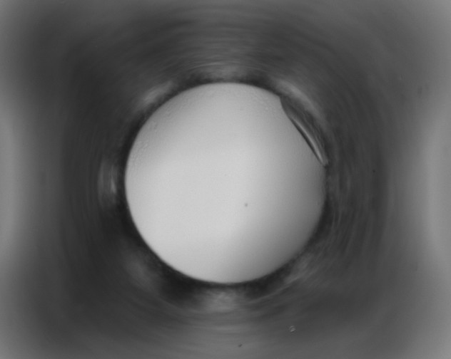 X0000086800115200705041616