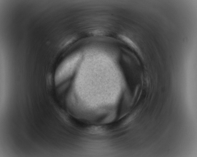 X0000086800117200705041616