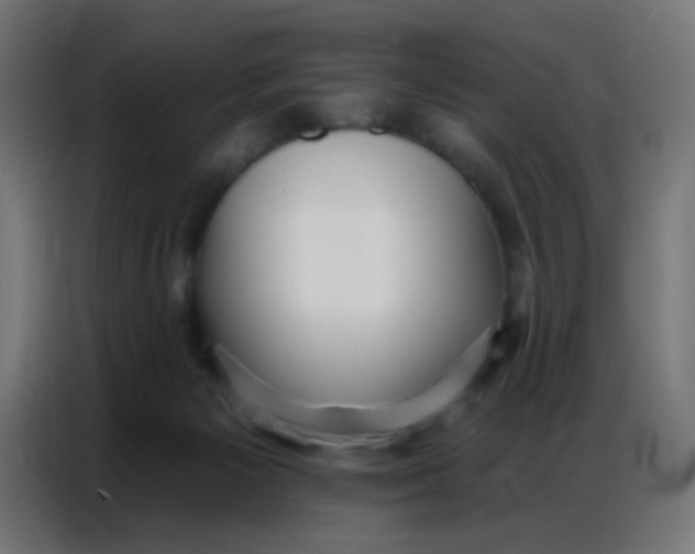 X0000086800125200705041616