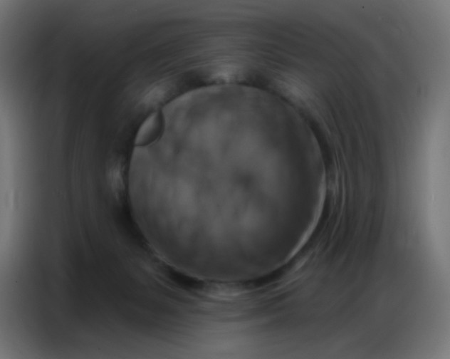 X0000086800127200705041616