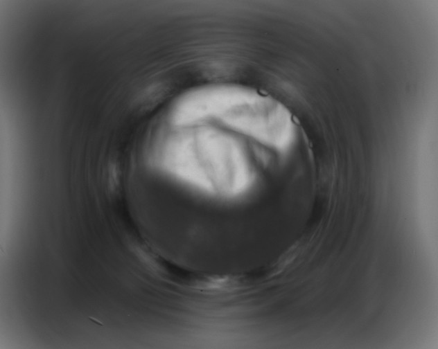 X0000086800130200705041616