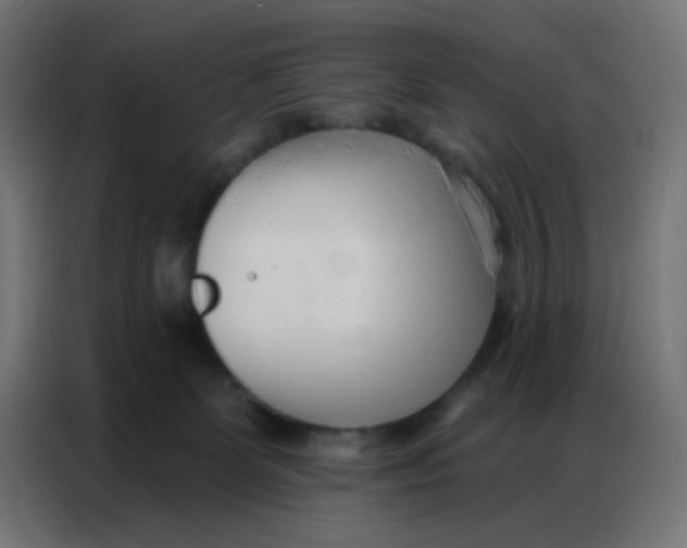 X0000086800131200705041616