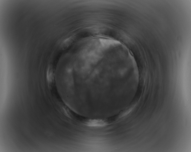 X0000086800137200705041616