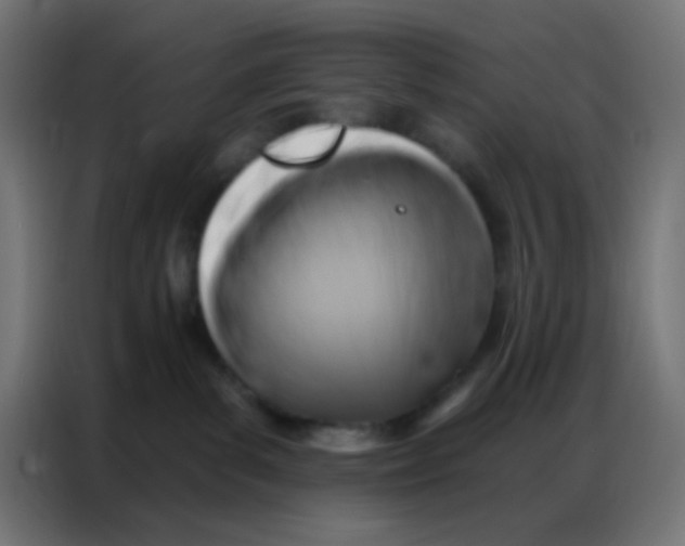 X0000086800139200705041616