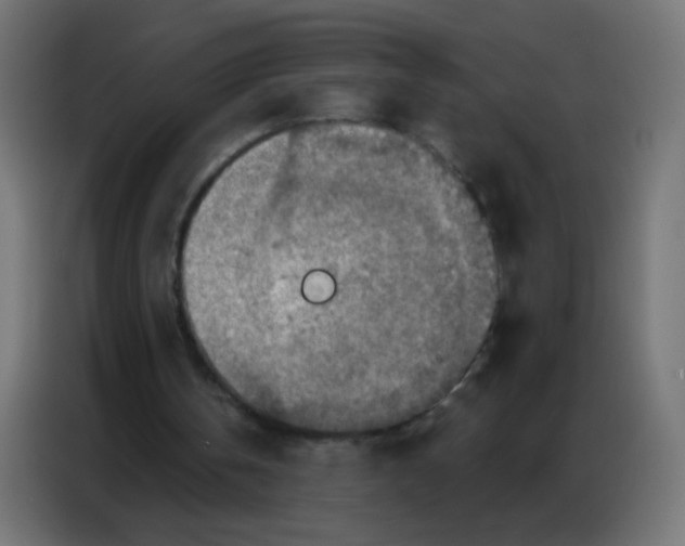 X0000086800146200705041615