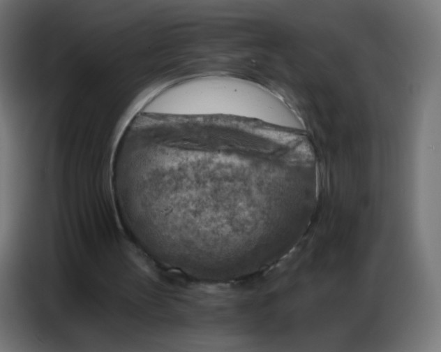 X0000086800147200705041615