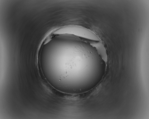 X0000086800148200705041615