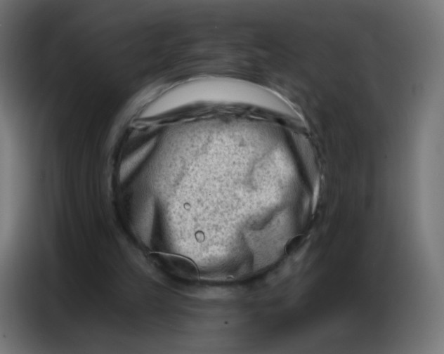 X0000086800149200705041615