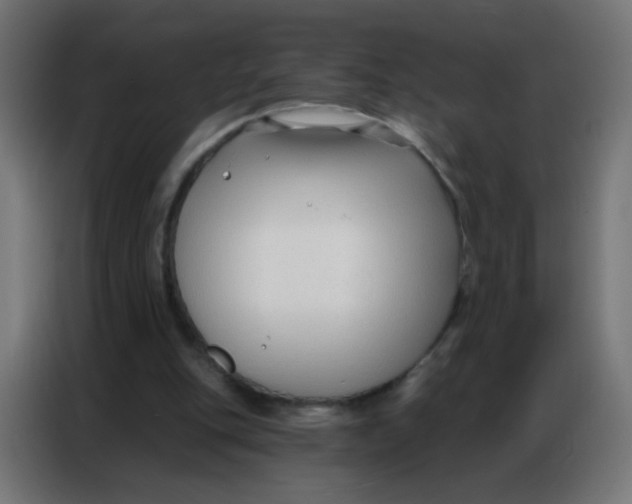 X0000086800151200705041615