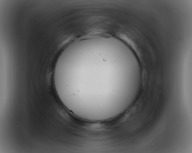 X0000086800153200705041615