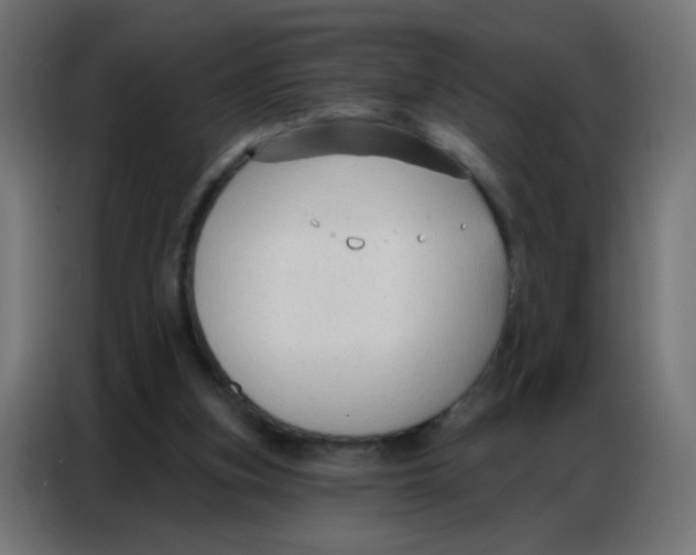 X0000086800155200705041615