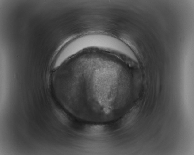 X0000086800156200705041615